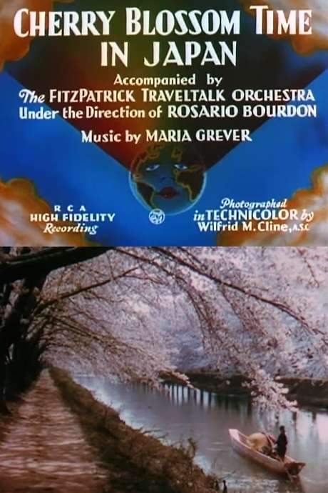 Cherry Blossom Time in Japan